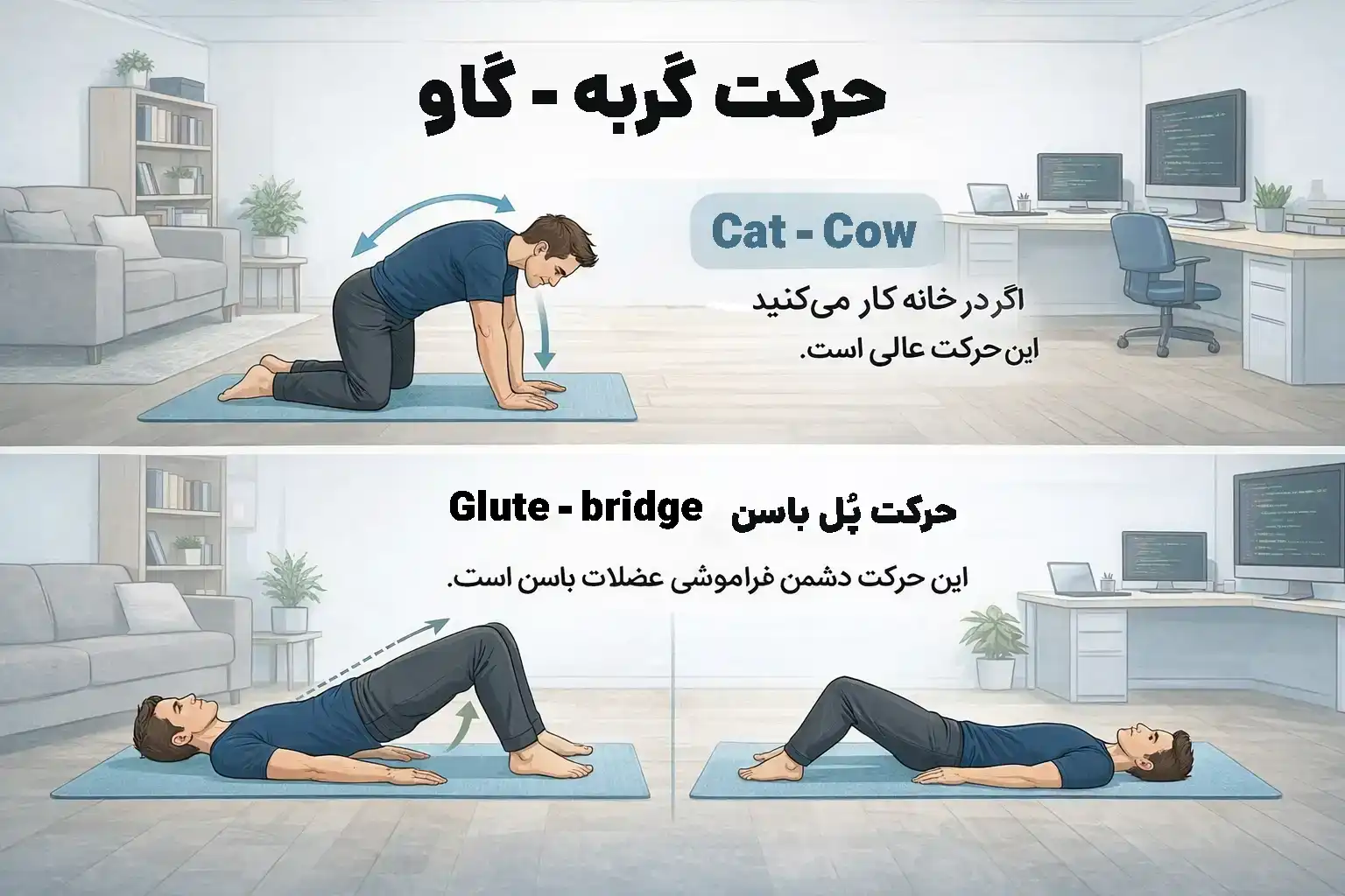 حرکت گربه گاو و پل باسن